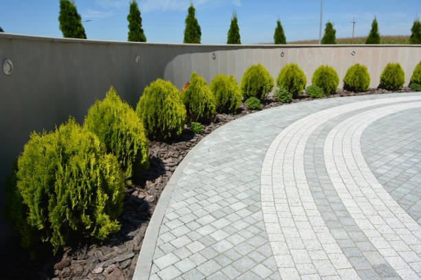 Reasons to Select Us for Your Driveway Paving Requirements in Greenville, IL